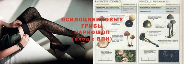 бошки Майский