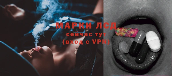 spice Магадан