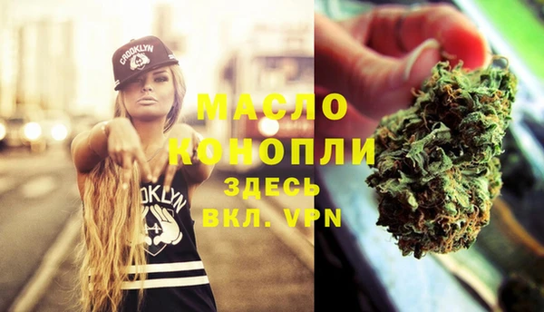 индика Магас