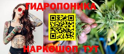 марки lsd Кингисепп