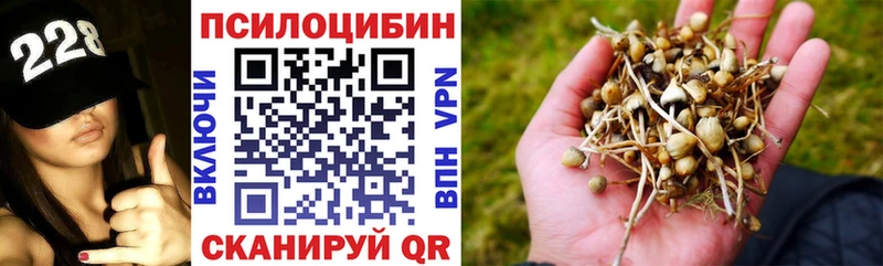 Купить закладки  Междуреченск  Псилоцибиновые грибы Psilocybe 