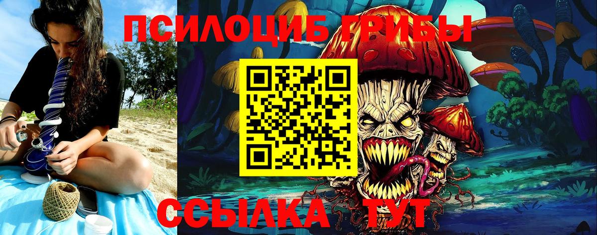 Галлюциногенные грибы MAGIC MUSHROOMS  даркнет сайт  Междуреченск 