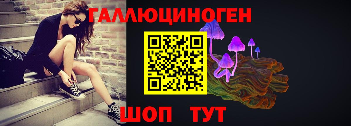 Междуреченск  Галлюциногенные грибы прущие грибы  Вход с VPN 